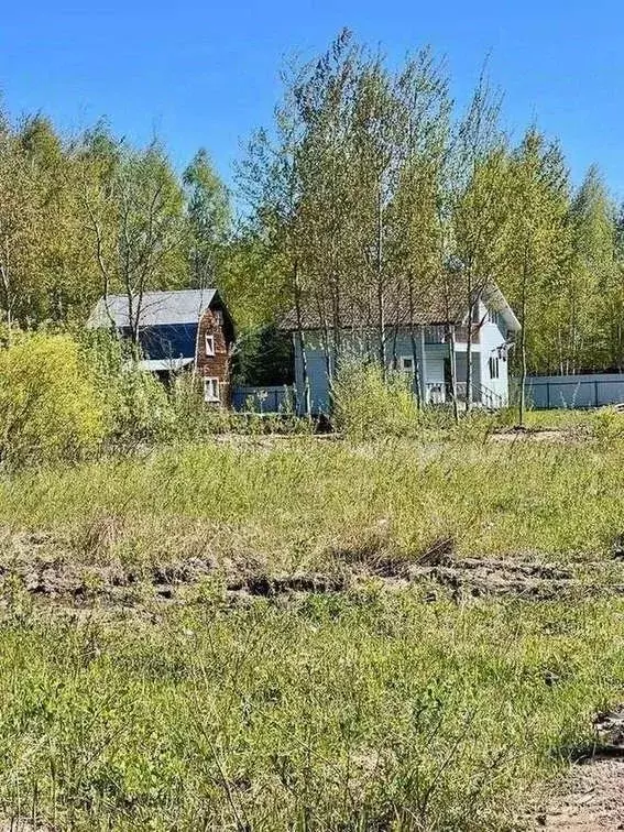 Участок в Московская область, Богородский городской округ, Семья СНТ ... - Фото 0
