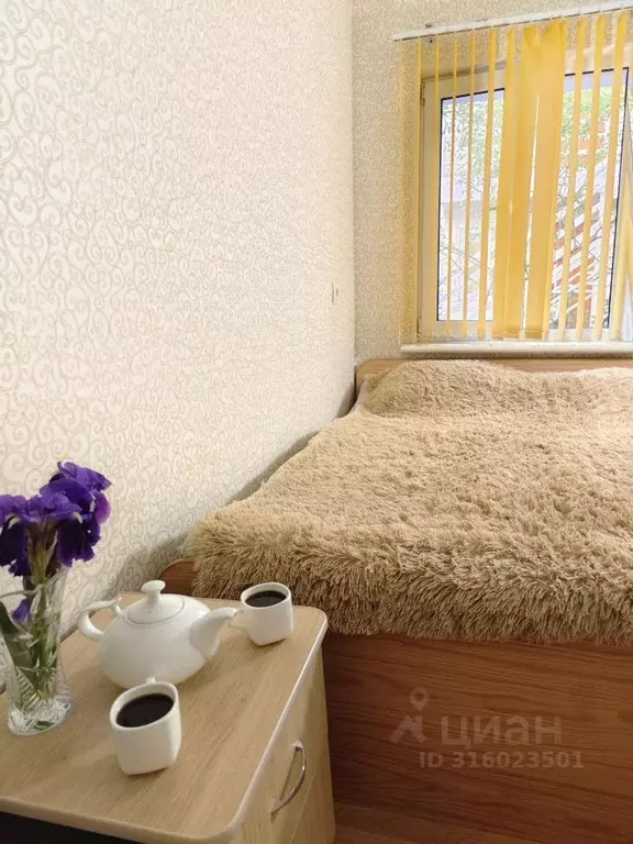 Комната Краснодарский край, Анапа ул. Тургенева, 109 (12.0 м) - Фото 0