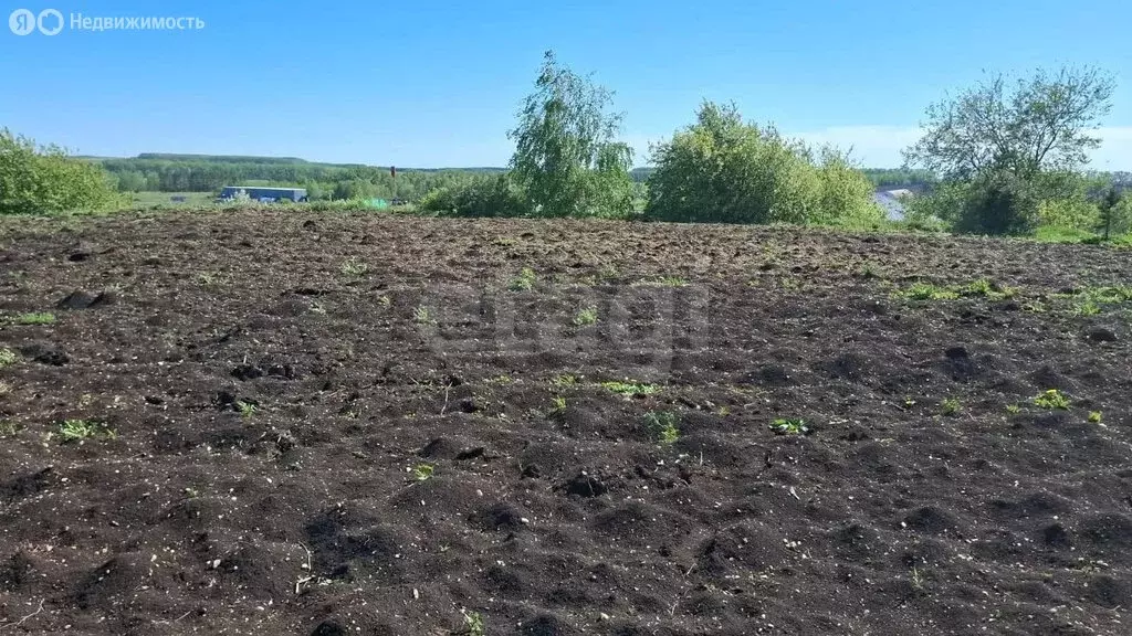 Участок в село Буриказганово, Советская улица (13.12 м) - Фото 2