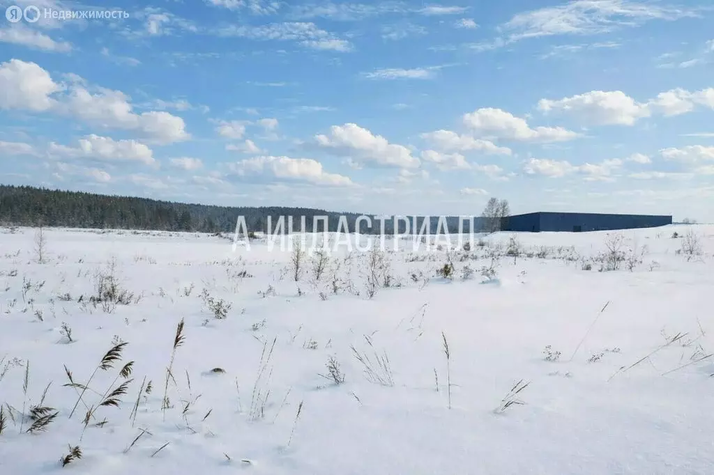 Участок в Домодедово, микрорайон Востряково, улица Заборье, 1Д (125 м) - Фото 1