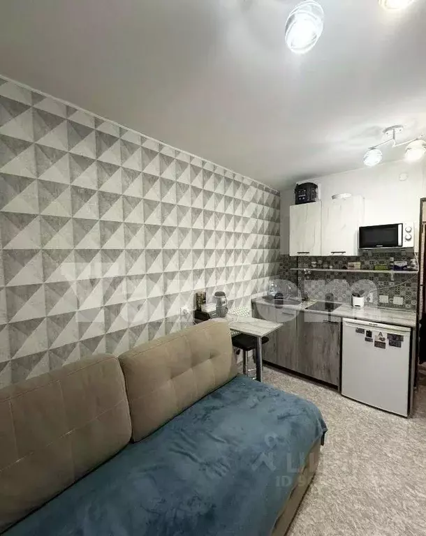 1-к кв. Красноярский край, Красноярск Лесопарковая ул., 33 (18.0 м) - Фото 1