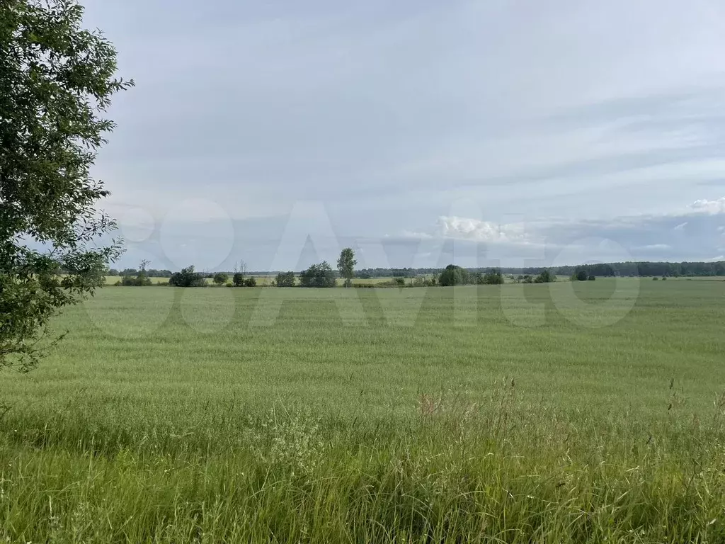 Участок 7,95 га (СНТ, ДНП) - Фото 1