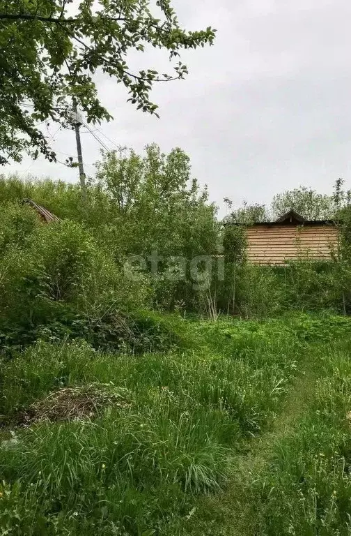 Дом в Алтай, Горно-Алтайск ул. Ткацкая (61 м) - Фото 1