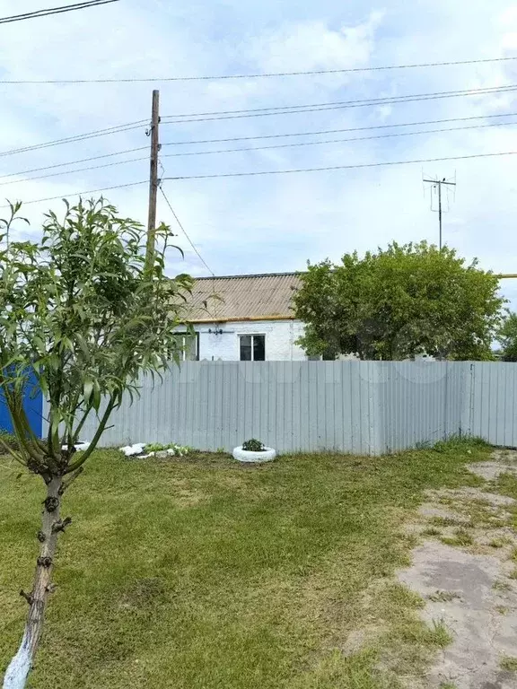 Дом 51,6 м на участке 17 сот. - Фото 0