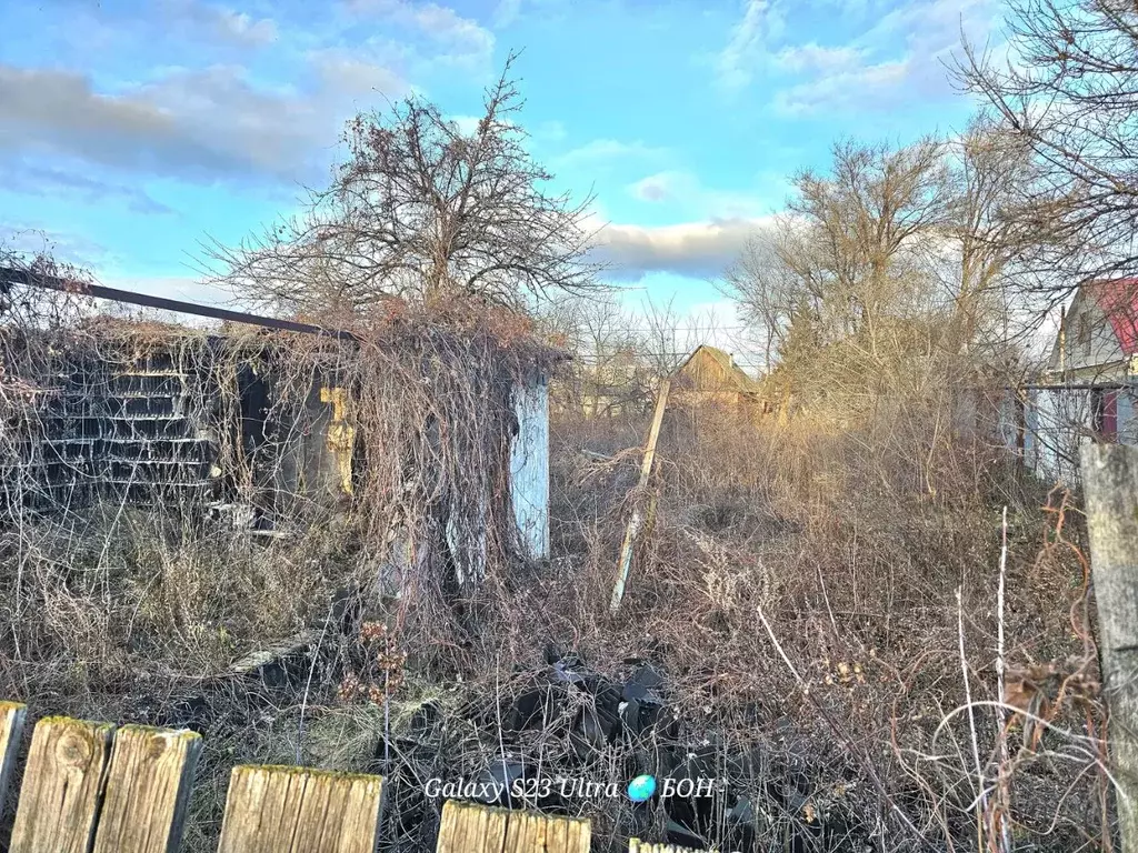 Участок в Саратовская область, Балаковский район, Быково-Отрогское ... - Фото 2