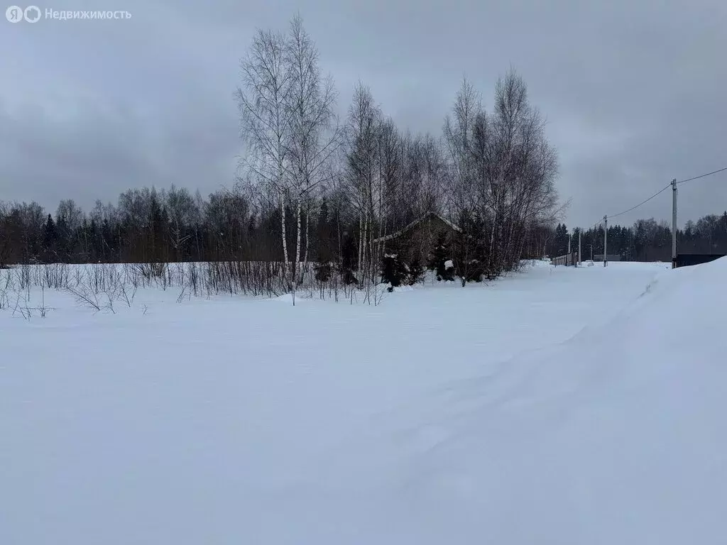 Участок в Владимирская область, Александровский муниципальный округ, ... - Фото 2