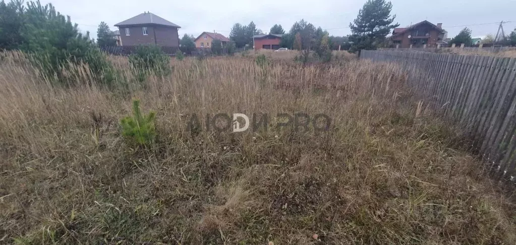 Участок в Ярославская область, Некрасовский муниципальный округ, с. ... - Фото 2