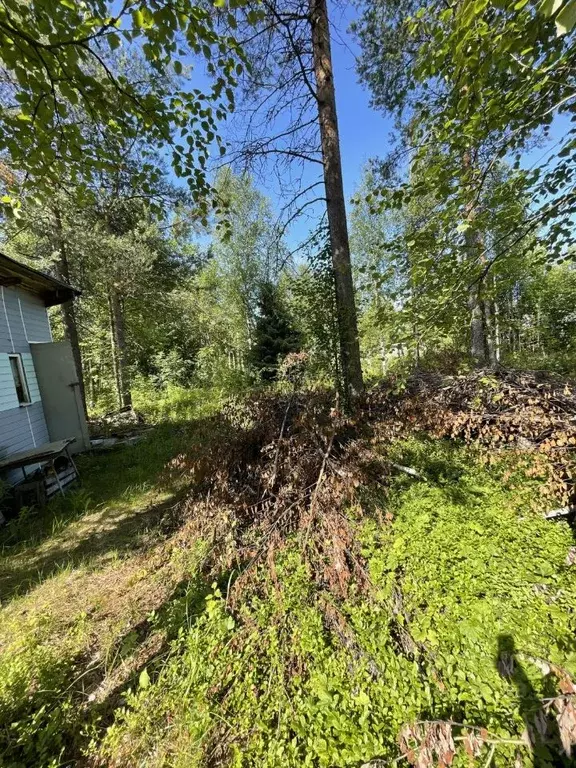 Участок в Архангельская область, Приморский муниципальный округ, ... - Фото 2