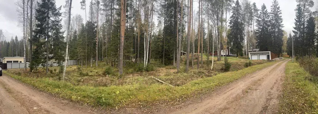 Участок в Ленинградская область, Всеволожский район, Юкковское с/пос, ... - Фото 2