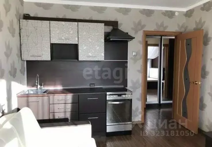 Студия Алтай, Майминский район, с. Майма ул. Березовая роща (35.0 м) - Фото 1