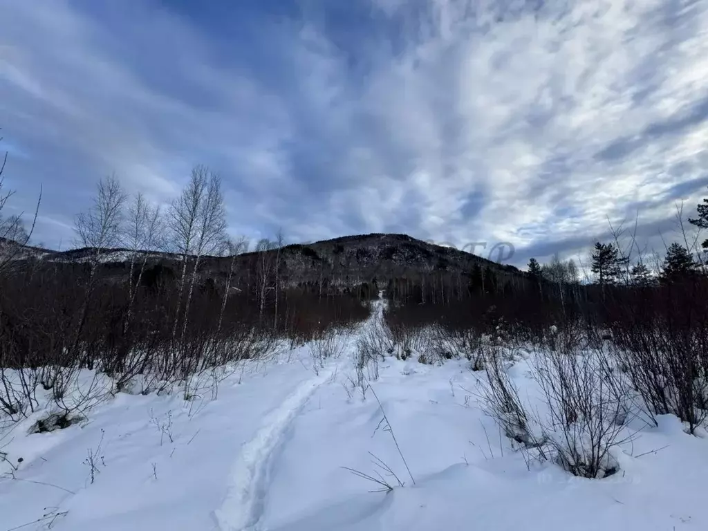 Участок в Алтай, Майминский район, Манжерокское с/пос, с. Озерное ул. ... - Фото 1