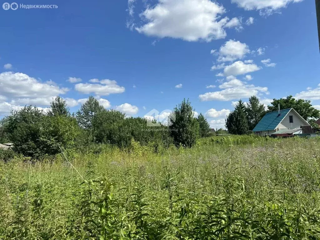 Участок в Новосибирский район, Кудряшовский сельсовет, СНТ ... - Фото 1