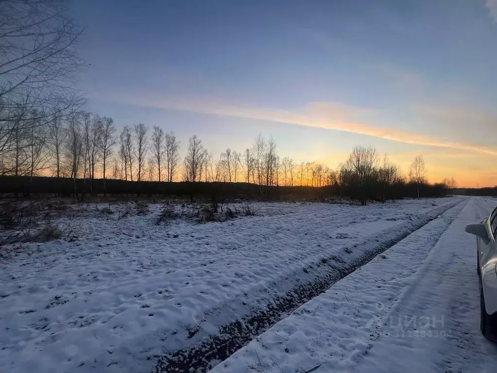 Участок в Московская область, Чехов городской округ, Сохинки ИЖС кп  ... - Фото 0