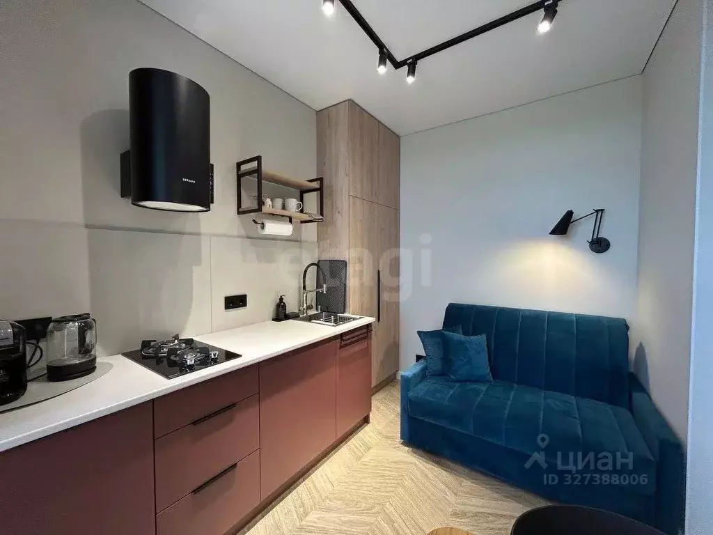 Студия Калининградская область, Пионерский ул. Гептнера, 19 (23.0 м) - Фото 2