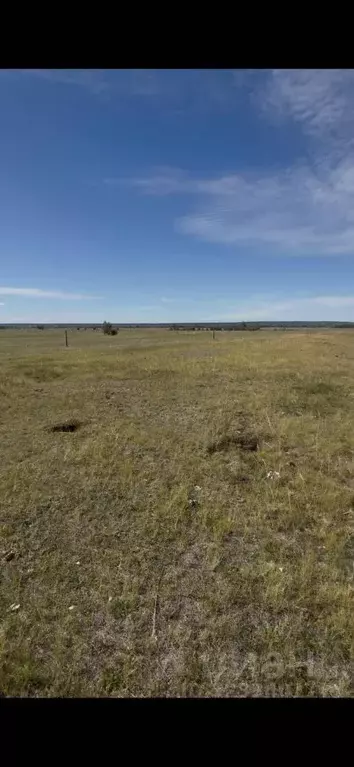 Участок в Саха (Якутия), Якутск городской округ, с. Сырдах  (8.0 сот.) - Фото 2