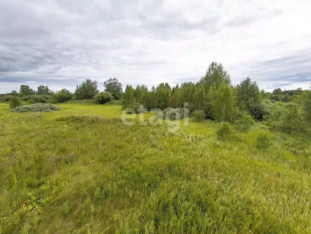 Участок в Тюменская область, Тюменский муниципальный округ, д. Марай  ... - Фото 2