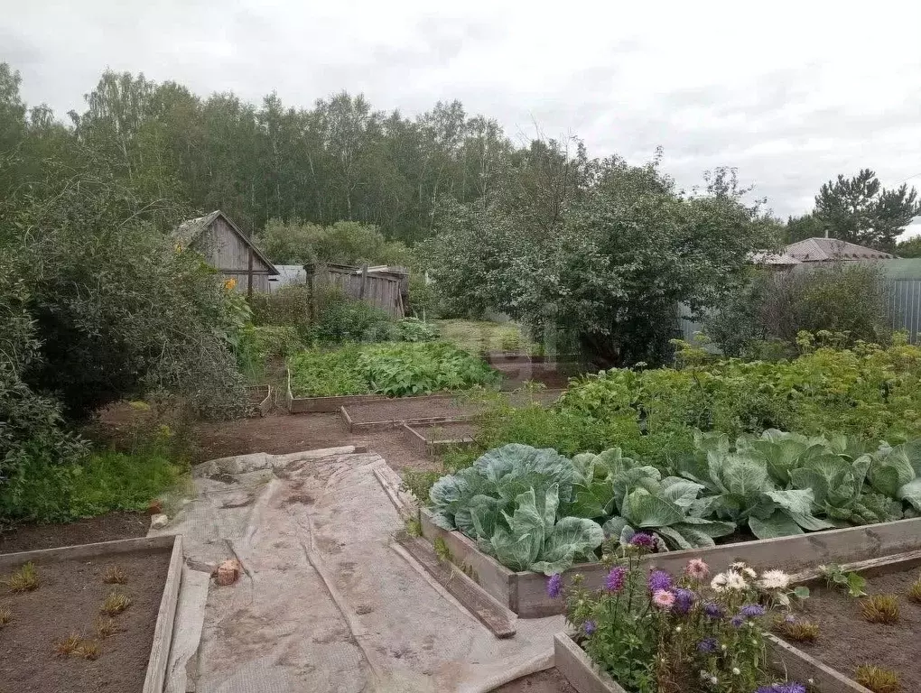 Дом в Тюменская область, Тюмень СОСН Ландыш тер., ул. Лесная (50 м) - Фото 1