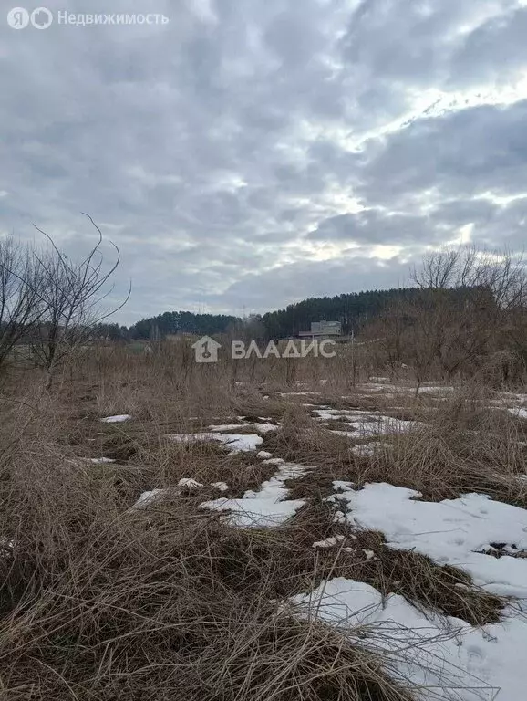 Участок в Рамонский район, Яменское сельское поселение, деревня ... - Фото 2