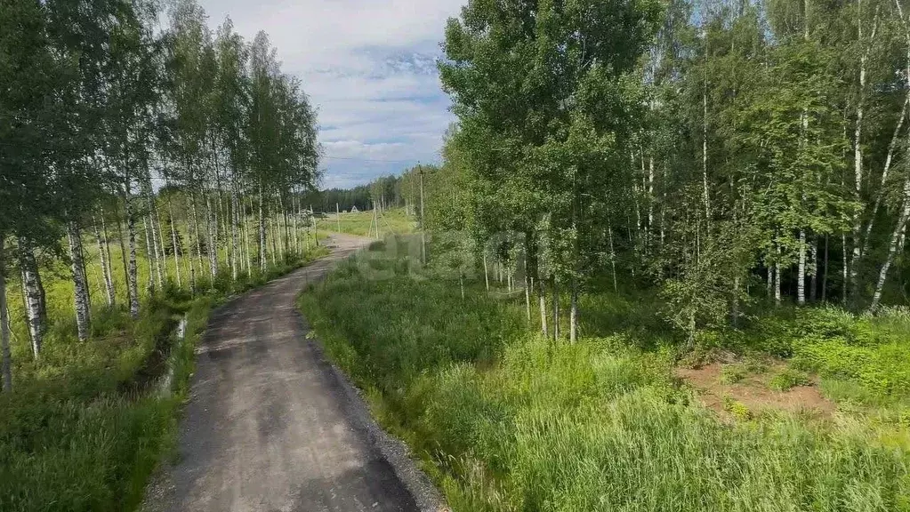 Участок в Ленинградская область, Всеволожский район, Куйвозовское ... - Фото 0