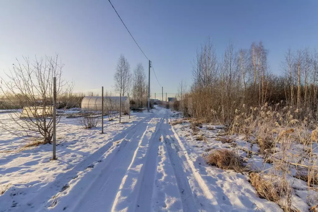 Участок в Тюменская область, Тюмень Светлое садовое товарищество,  ... - Фото 0