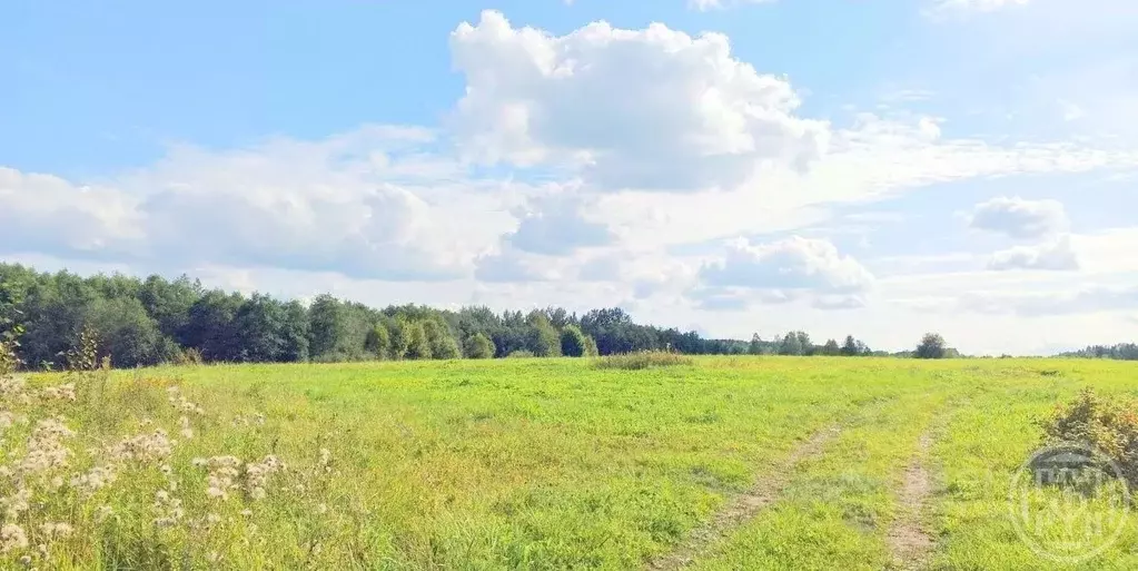 Участок в Ленинградская область, Ломоносовский район, Оржицкое с/пос, ... - Фото 1
