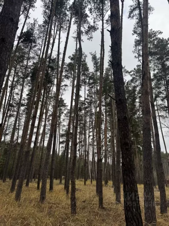 Дом в Тамбовская область, Тамбовский муниципальный округ, Боровичок ... - Фото 2