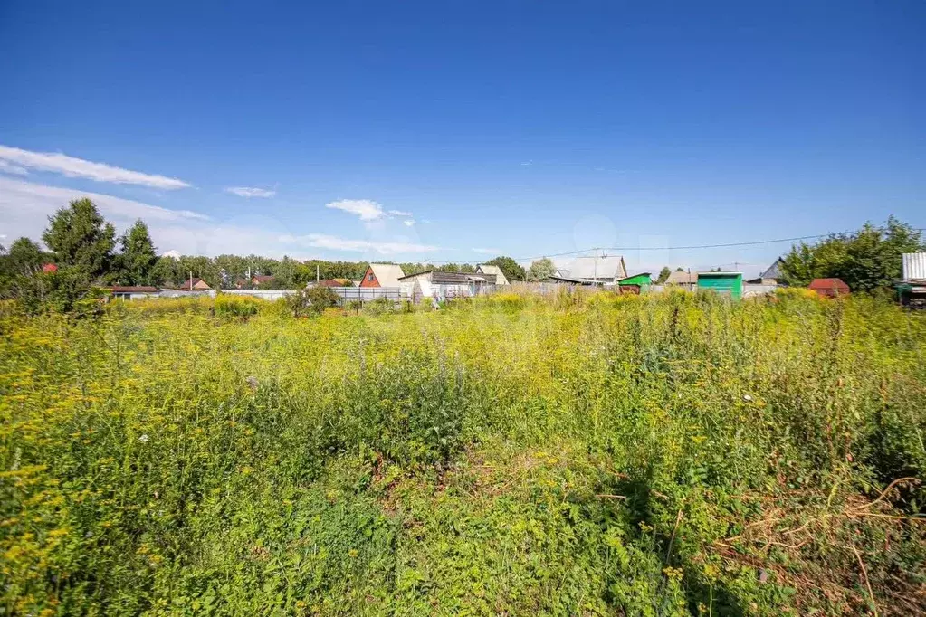 Участок 5,6 сот. (СНТ, ДНП) - Фото 1