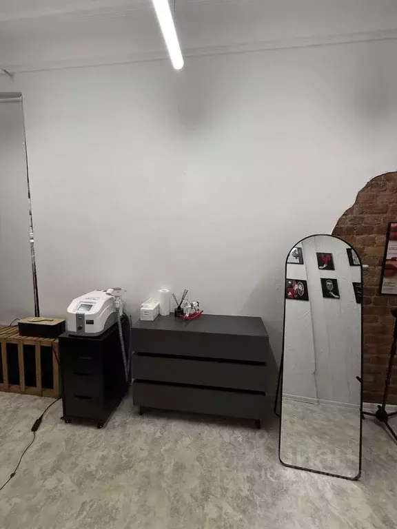 Помещение свободного назначения в Санкт-Петербург ул. Марата, 12 (13 ... - Фото 2