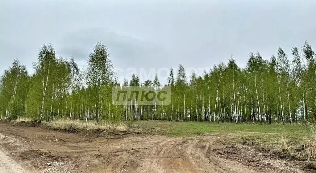 Участок в Рязанская область, Рязанский муниципальный округ, с. Глебово ... - Фото 2