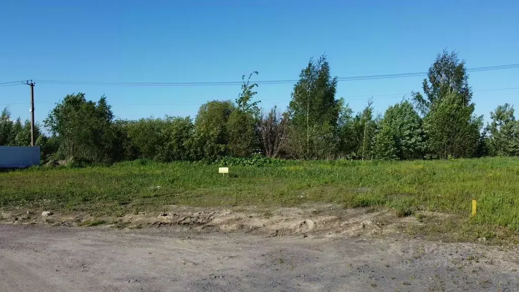 Участок в Ленинградская область, Всеволожский район, Колтушское ... - Фото 2