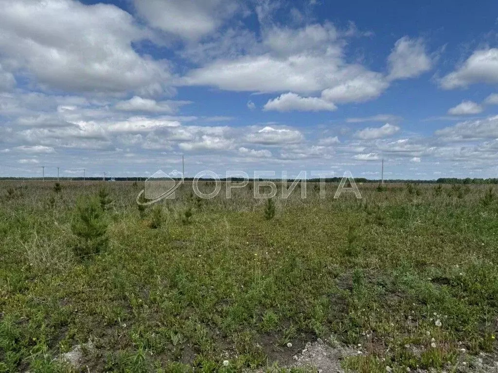 Участок в Тюменская область, Тюменский район, д. Малиновка, Вольные ... - Фото 0