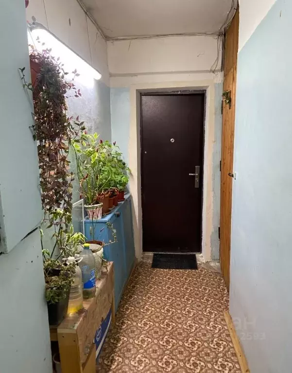 1-к кв. Новгородская область, Великий Новгород ул. Щусева, 4к1 (36.0 ... - Фото 1