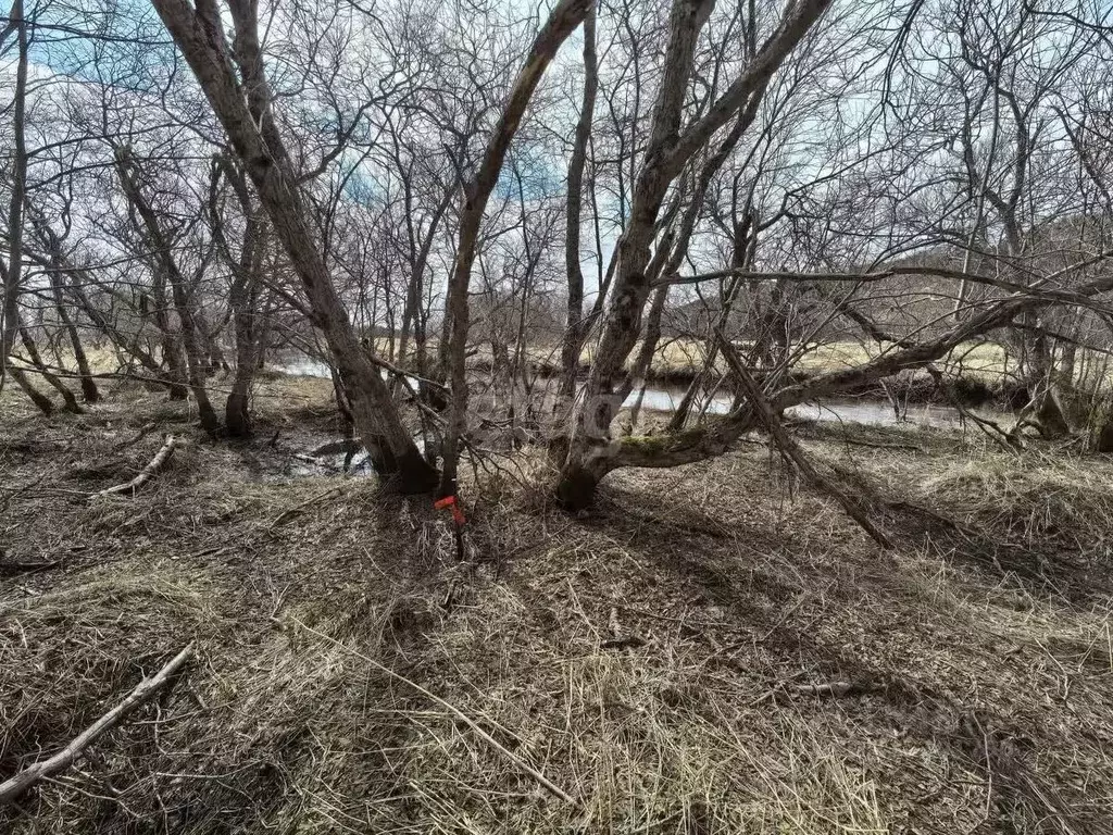 Участок в Камчатский край, с. Усть-Большерецк  (20.0 сот.) - Фото 1