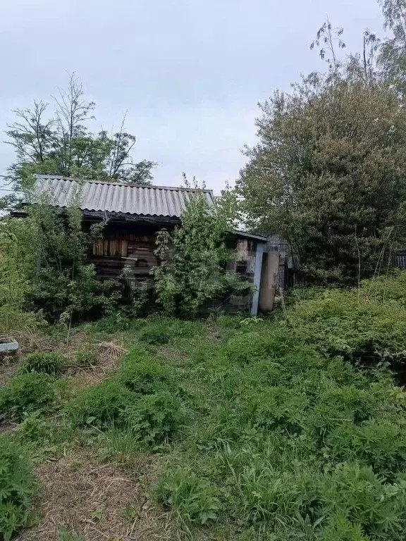 Участок в Новосибирская область, Новосибирский район, Мочищенский ... - Фото 0