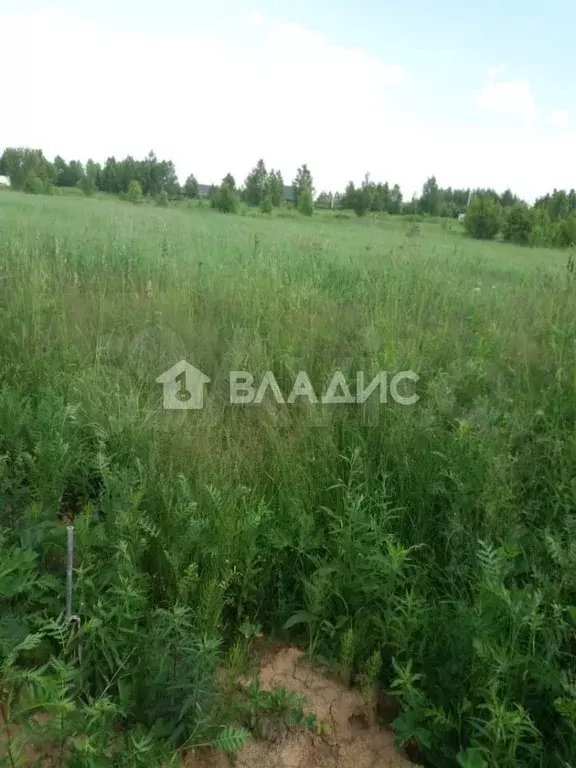 Участок 27 сот. (СНТ, ДНП) - Фото 1