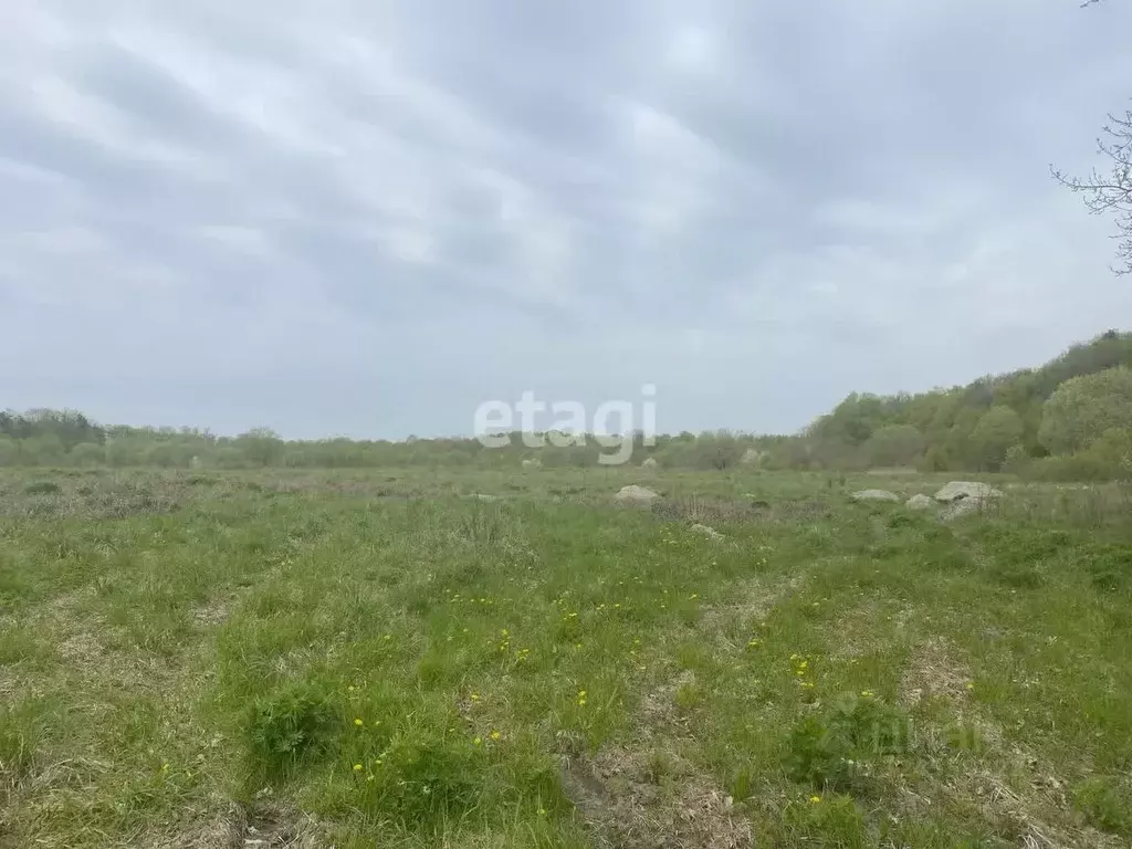 Участок в Калининградская область, Гвардейский муниципальный округ, ... - Фото 1