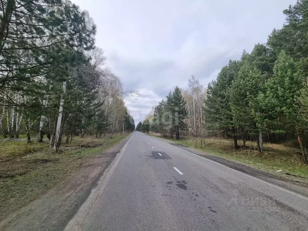 Участок в Кемеровская область, Кемеровский район, д. Журавлево  (11.1 ... - Фото 1