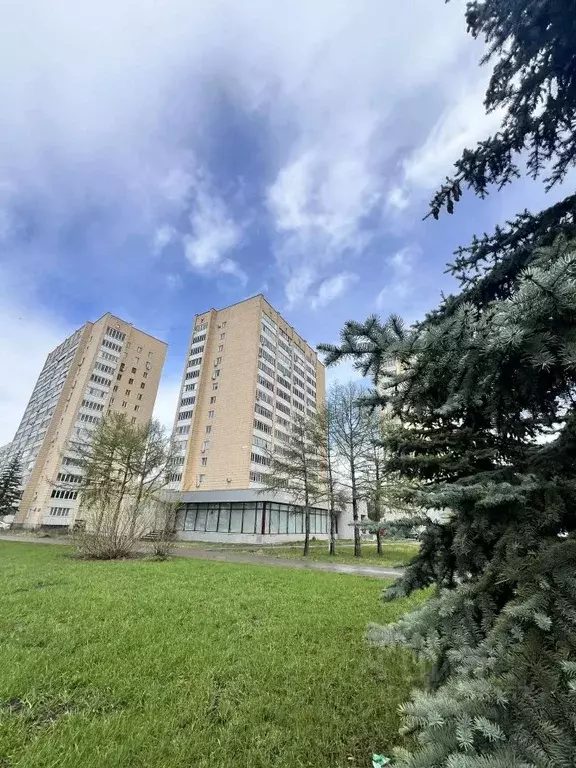 Помещение свободного назначения в Татарстан, Казань Чистопольская ул., ... - Фото 2