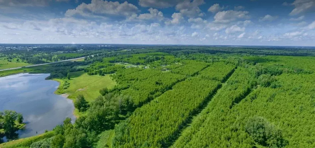 Участок в Новосибирская область, Мошковский район, Недача кп  (7.15 ... - Фото 0