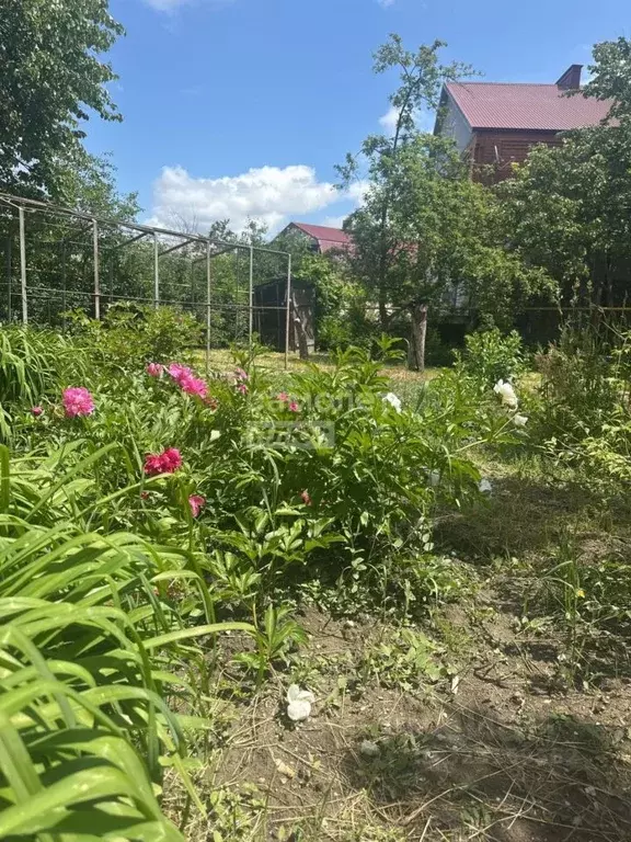 Участок в Краснодарский край, Новороссийск Прямая ул., 7 (4.81 сот.) - Фото 2