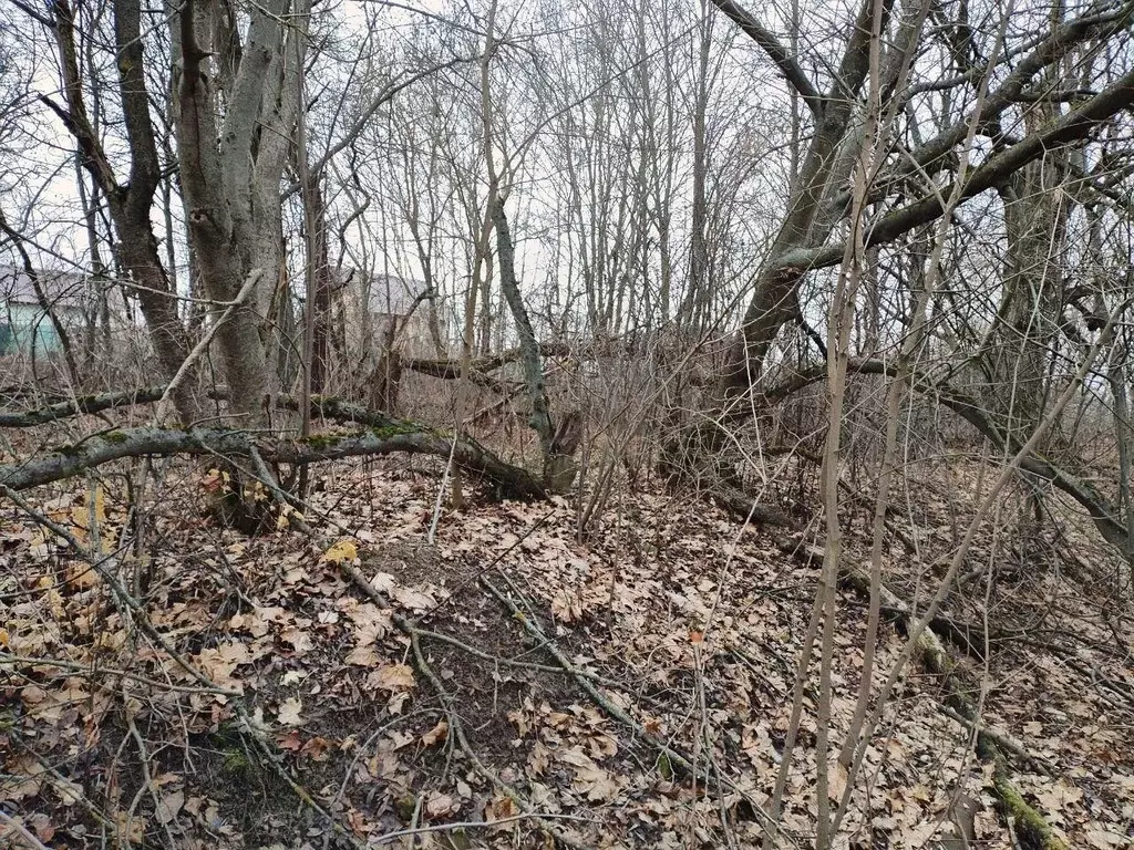 Участок в Московская область, Коломна городской округ, с. Редькино  ... - Фото 0