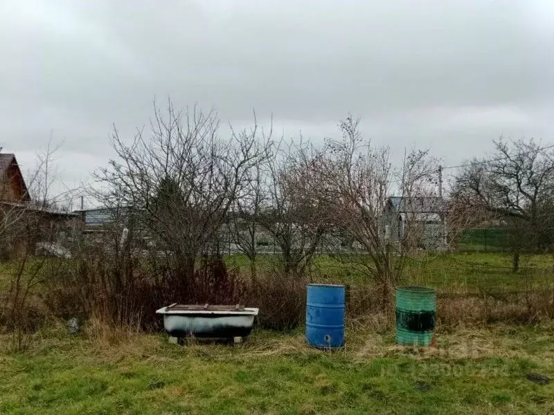 Участок в Калининградская область, Зеленоградск пос. Сосновка, 5 ... - Фото 2