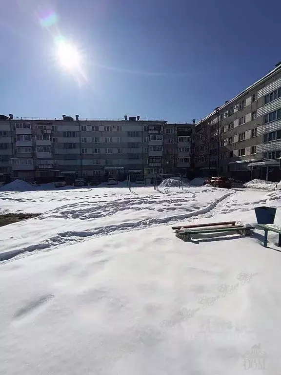 2-к кв. Еврейская автономная область, Биробиджан Набережная ул., 2 ... - Фото 2