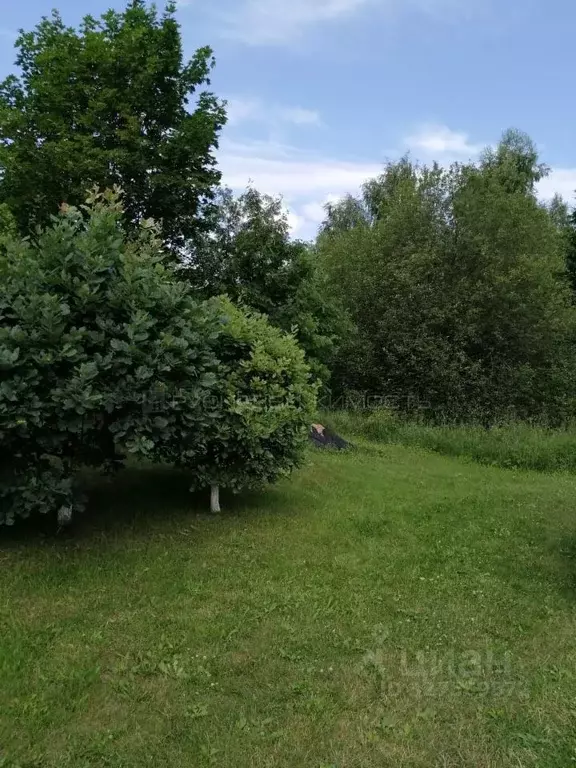 Участок в Кировская область, Юрьянский район, Загарское с/пос, д. ... - Фото 2