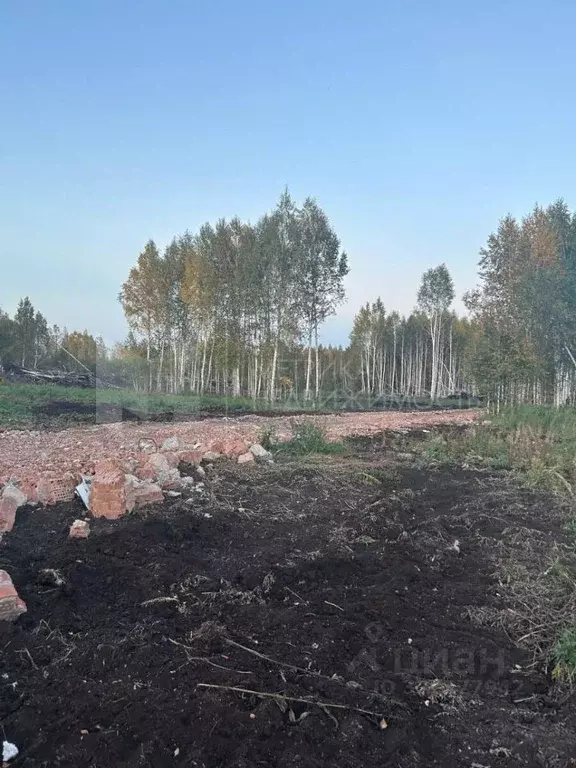 Участок в Тюменская область, Нижнетавдинский муниципальный округ, ... - Фото 2