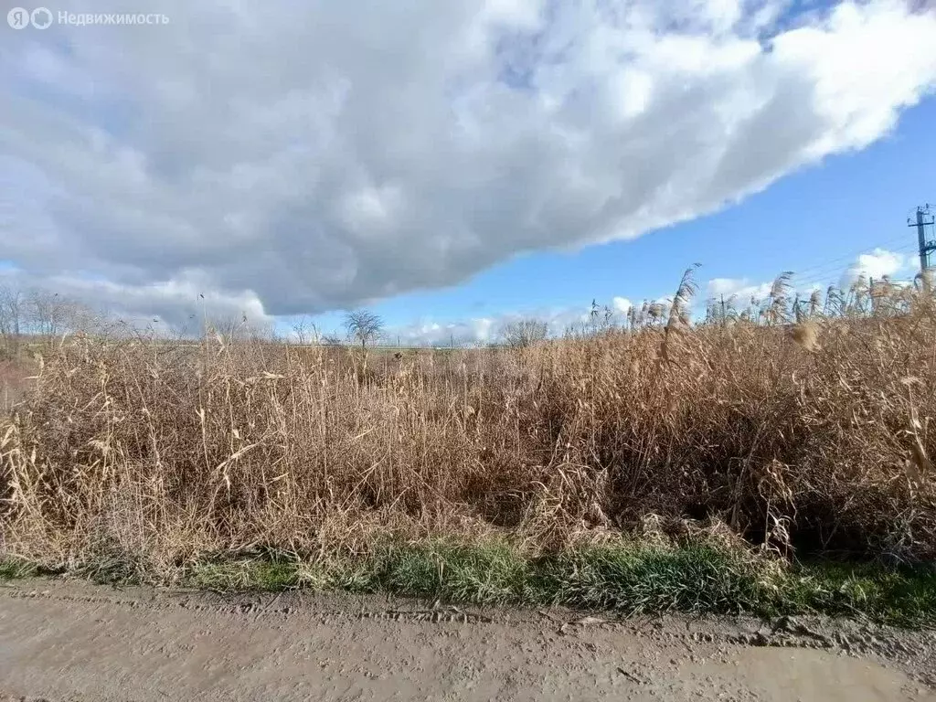 Участок в Краснодарский край, муниципальный округ Анапа, хутор Заря ... - Фото 2