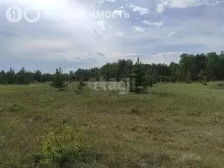 Участок в Челябинская область, Чебаркульский муниципальный округ, ... - Фото 1