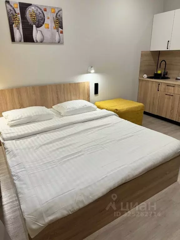 Студия Новосибирская область, Новосибирск ул. Кирова, 113/2 (26.0 м) - Фото 2