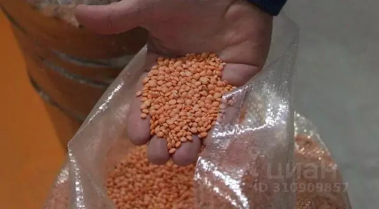 Производственное помещение в Алтайский край, Рубцовск ул. Некрасова, 8 ... - Фото 2