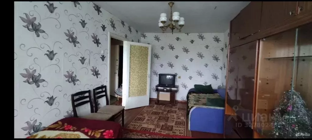 1-к кв. Ленинградская область, Сланцы Спортивная ул., 19 (30.0 м) - Фото 2